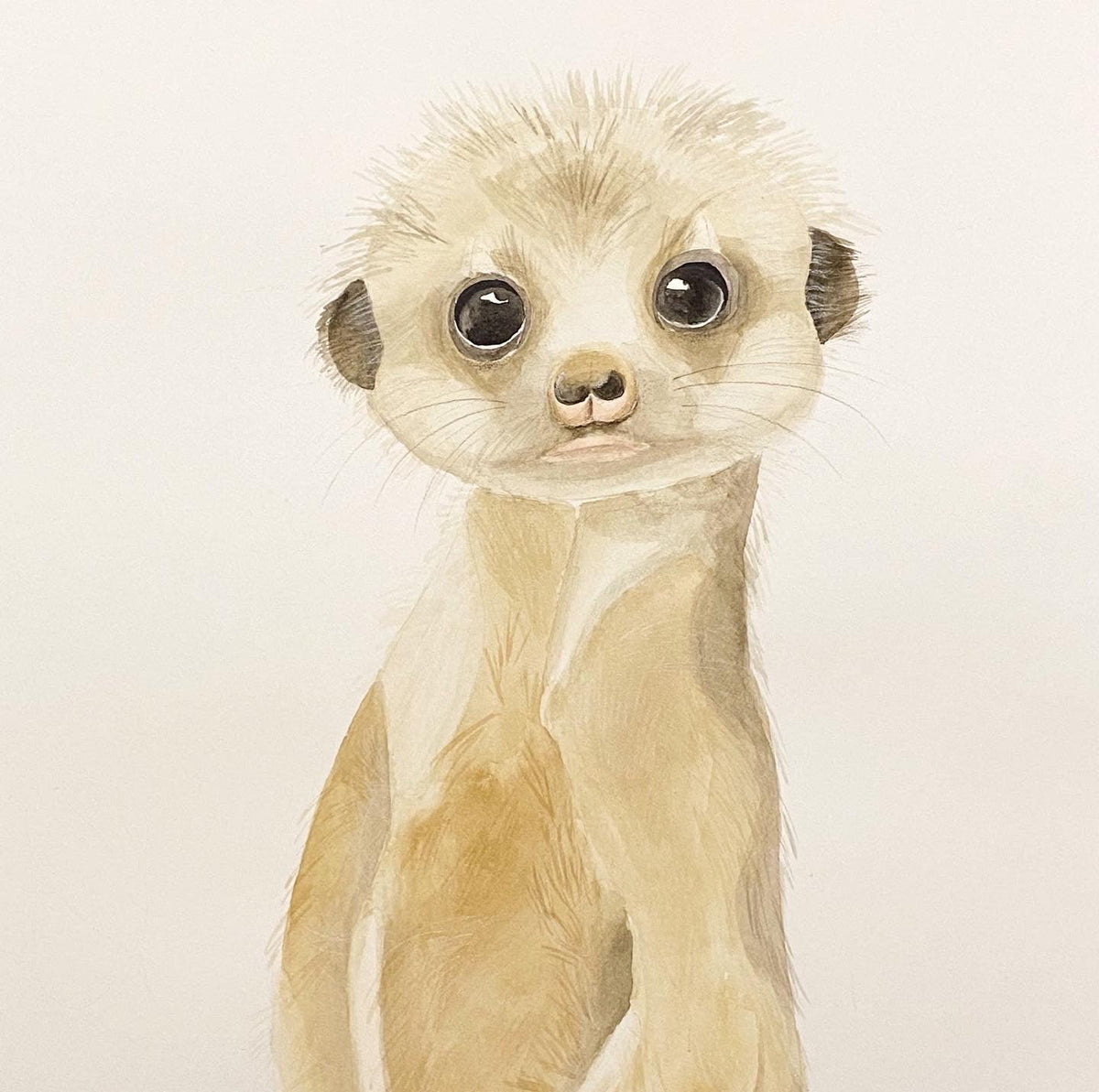 Meerkat art print