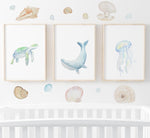 Under the Sea Shell Wall Decals