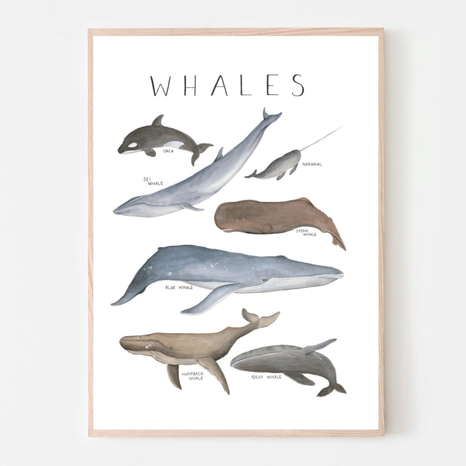 ‘Whales’ Art Print - lovefrankieart
