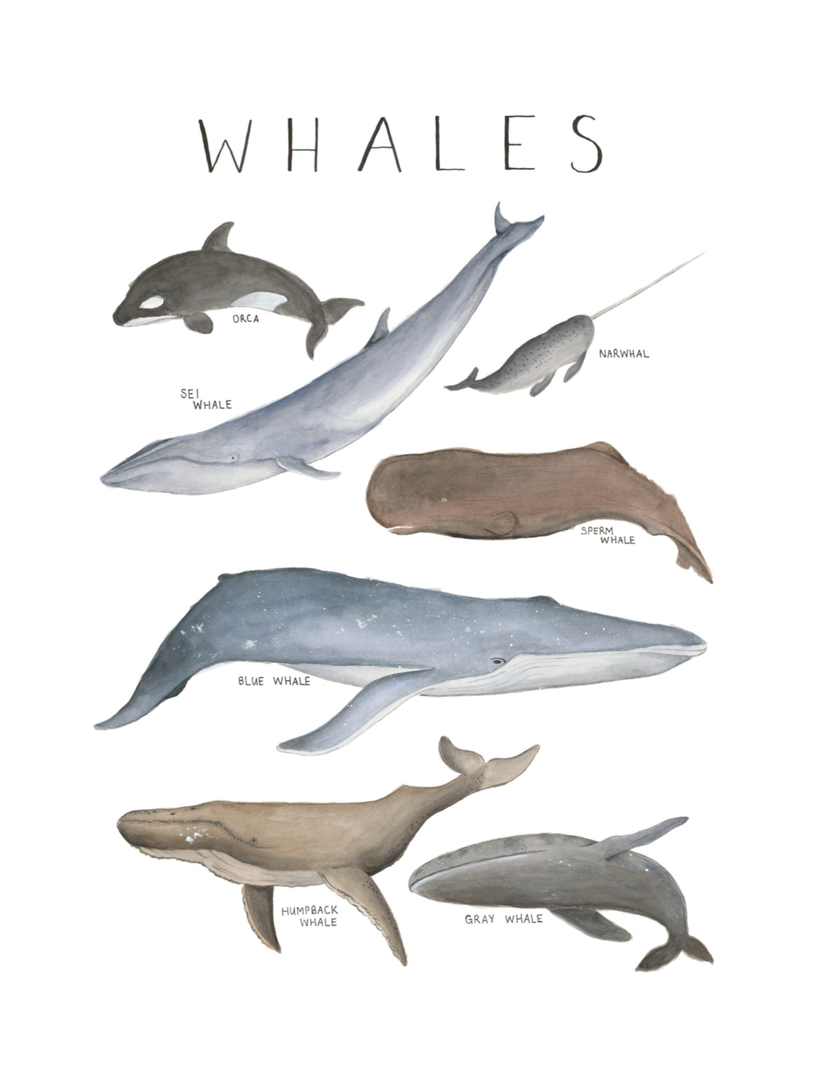 ‘Whales’ Art Print - lovefrankieart